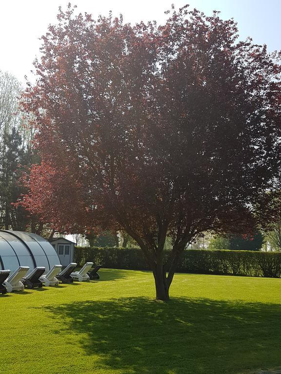 Hotel Du Golf Cabourg Kültér fotó