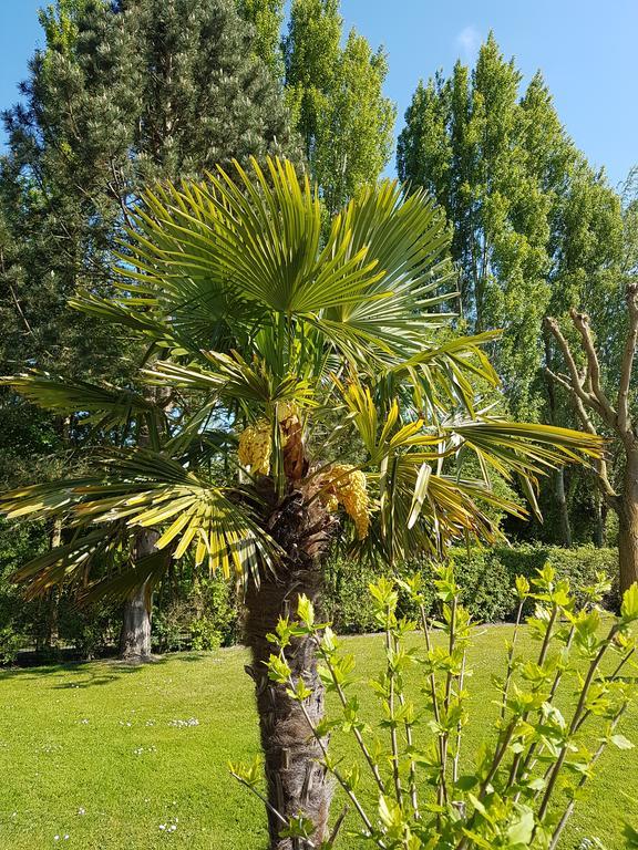 Hotel Du Golf Cabourg Kültér fotó